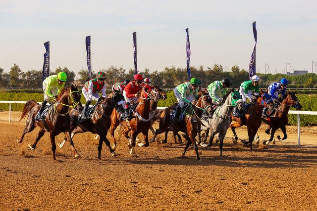 Badran Baynounah” is crowned champion of the Sharjah Ruler’s Cup